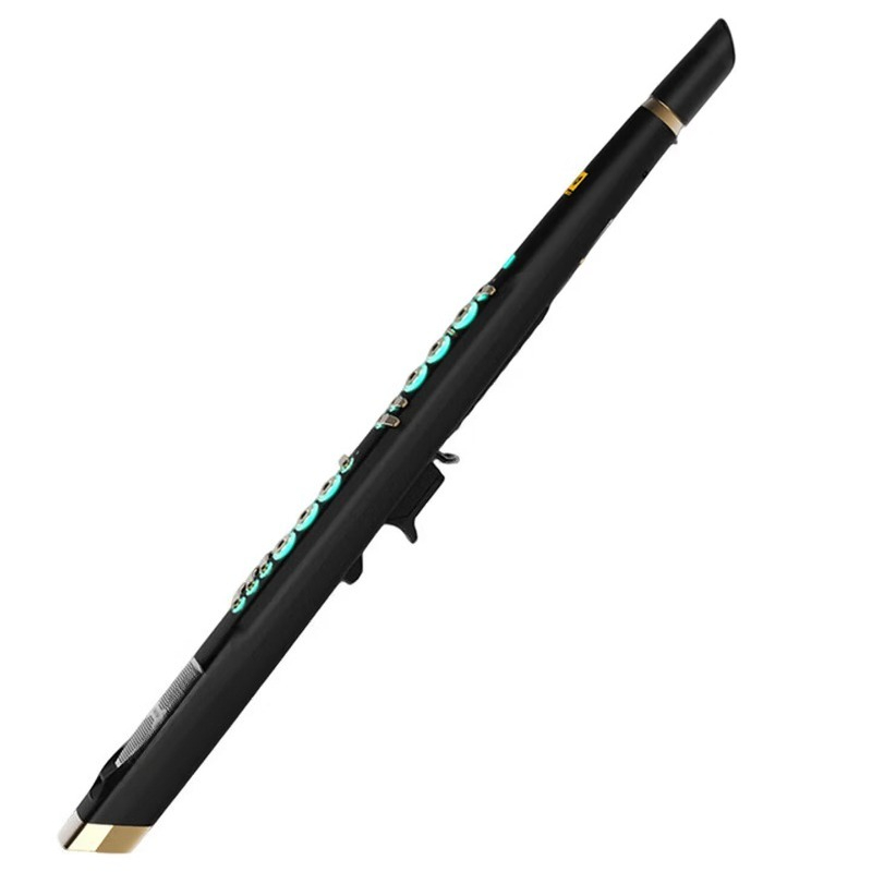 C20 true sampling domestic hig - Musical Instrument That You Blow Into ulasan dan harga
