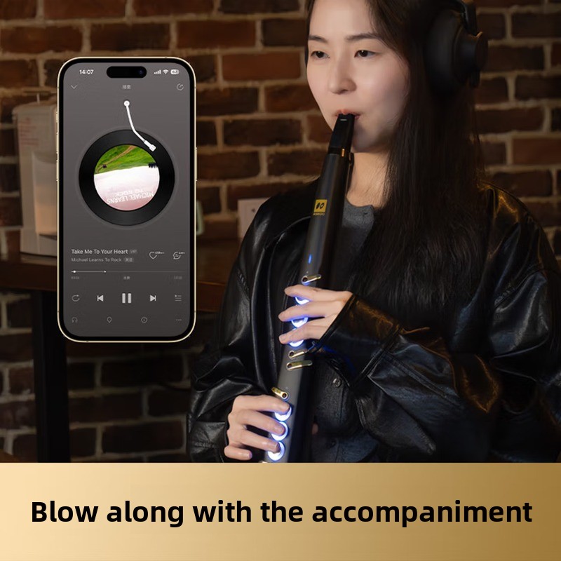 C20 true sampling domestic hig - Musical Instrument That You Blow Into ulasan dan harga
