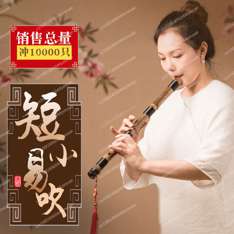 Professional play hole flute o - Musical Instrument That You Blow Into ulasan dan harga