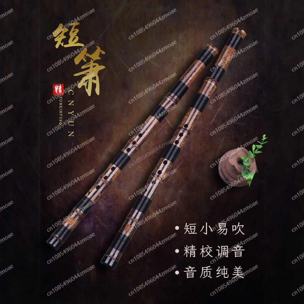 Professional play hole flute o - Musical Instrument That You Blow Into ulasan dan harga