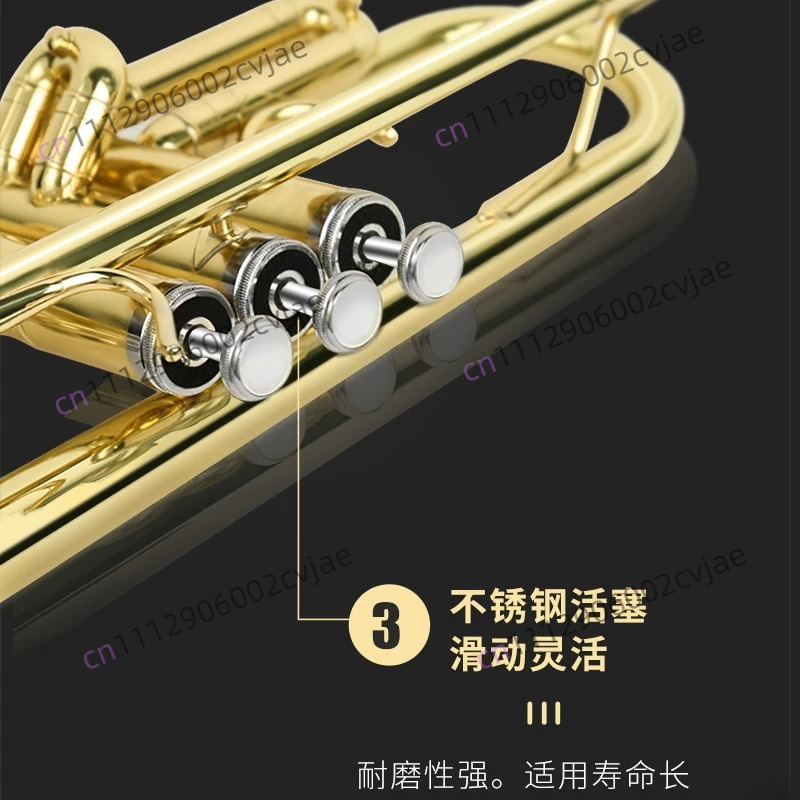 Suitable for Jinbao trumpet mu - Musical Instrument Drum ulasan dan harga