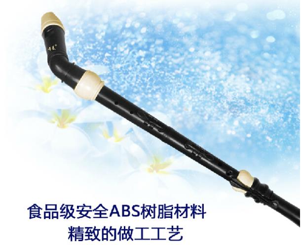 Professional 8 Holes Baroque B - Musical Instrument Recorder ulasan dan harga