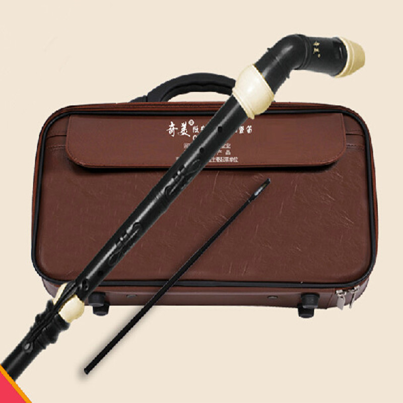 Professional 8 Holes Baroque B - Musical Instrument Recorder ulasan dan harga