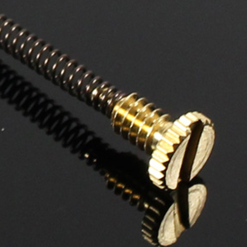10pcs Metal Spring Screw For Z - Musical Instrument Zither ulasan dan harga