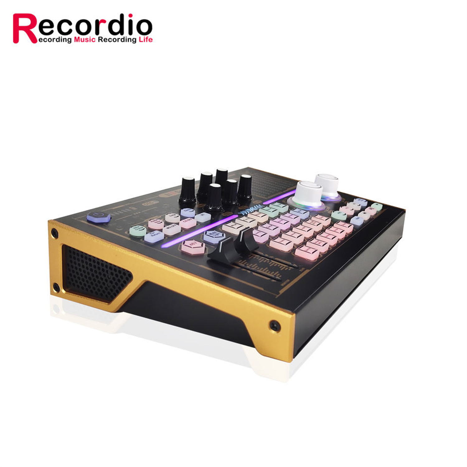 GAX-N8 Professional Recording  - Musical Instrument Recorder ulasan dan harga